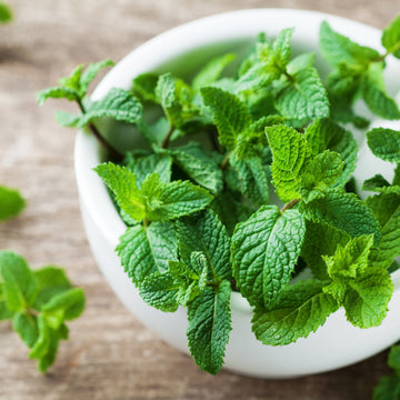 Mint Leaf
