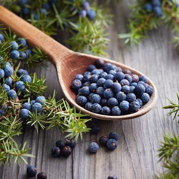 Juniper