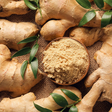 Ginger Zest