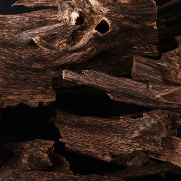 Exotic Oud
