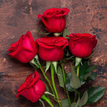 Fresh Cut Roses