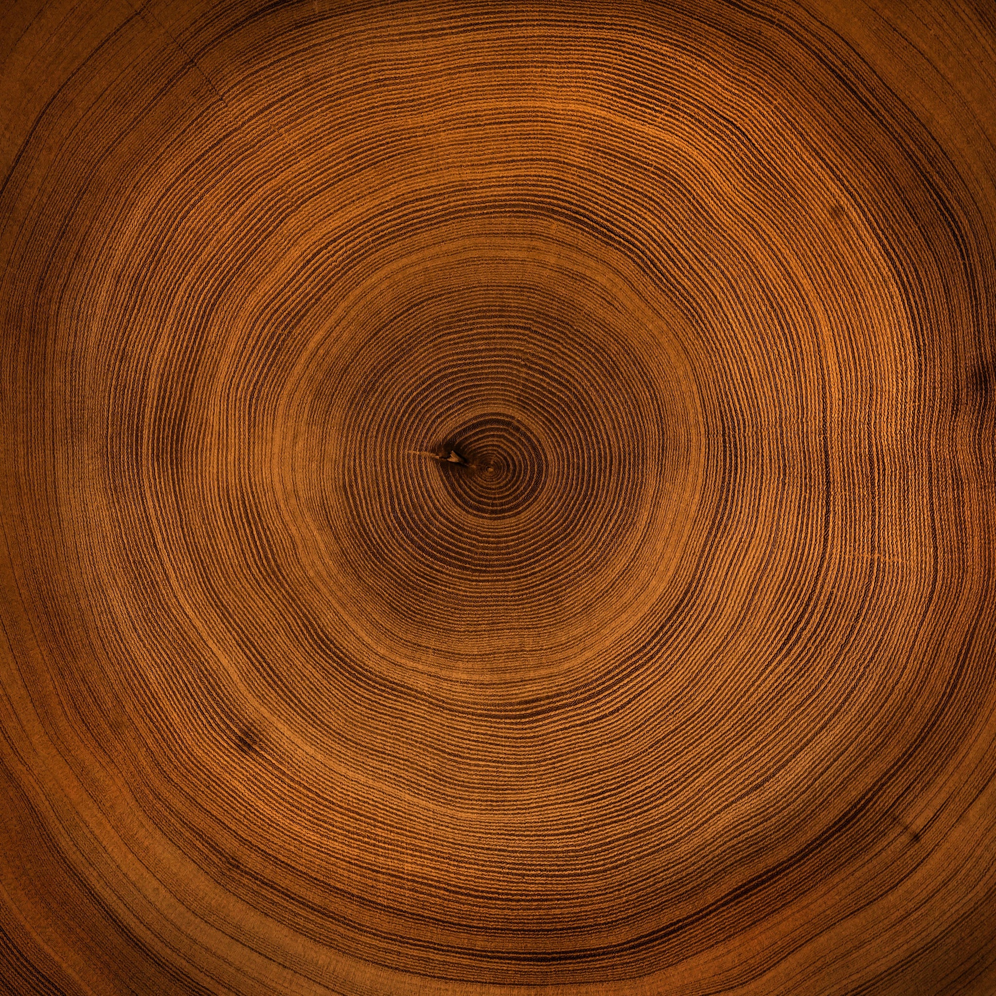 Mahogany