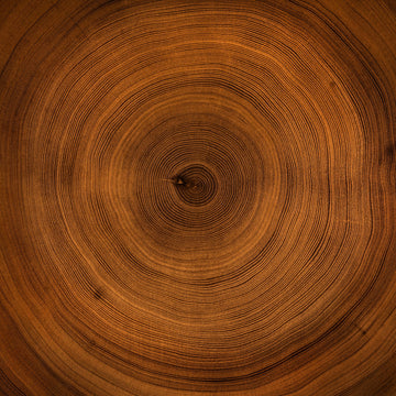 Mahogany