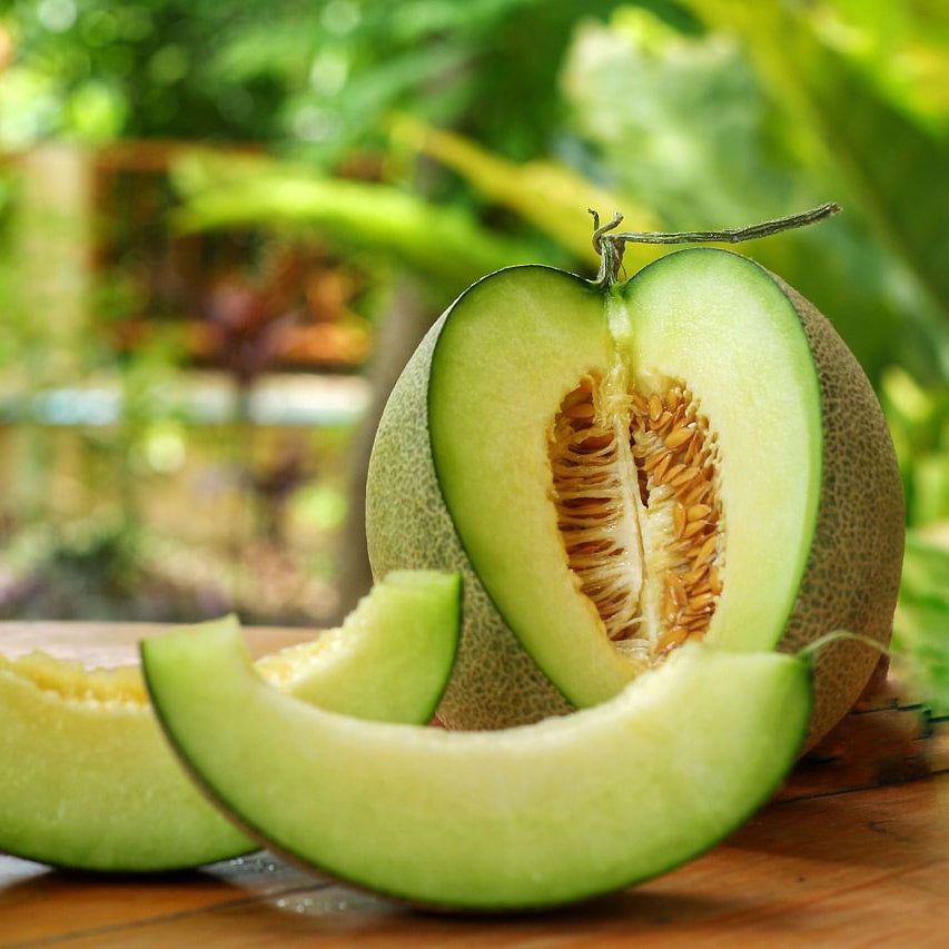 Honeydew Melon