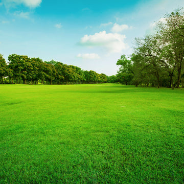 Fresh Cut Grass