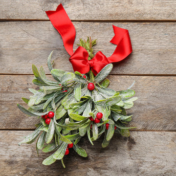 Mistletoe